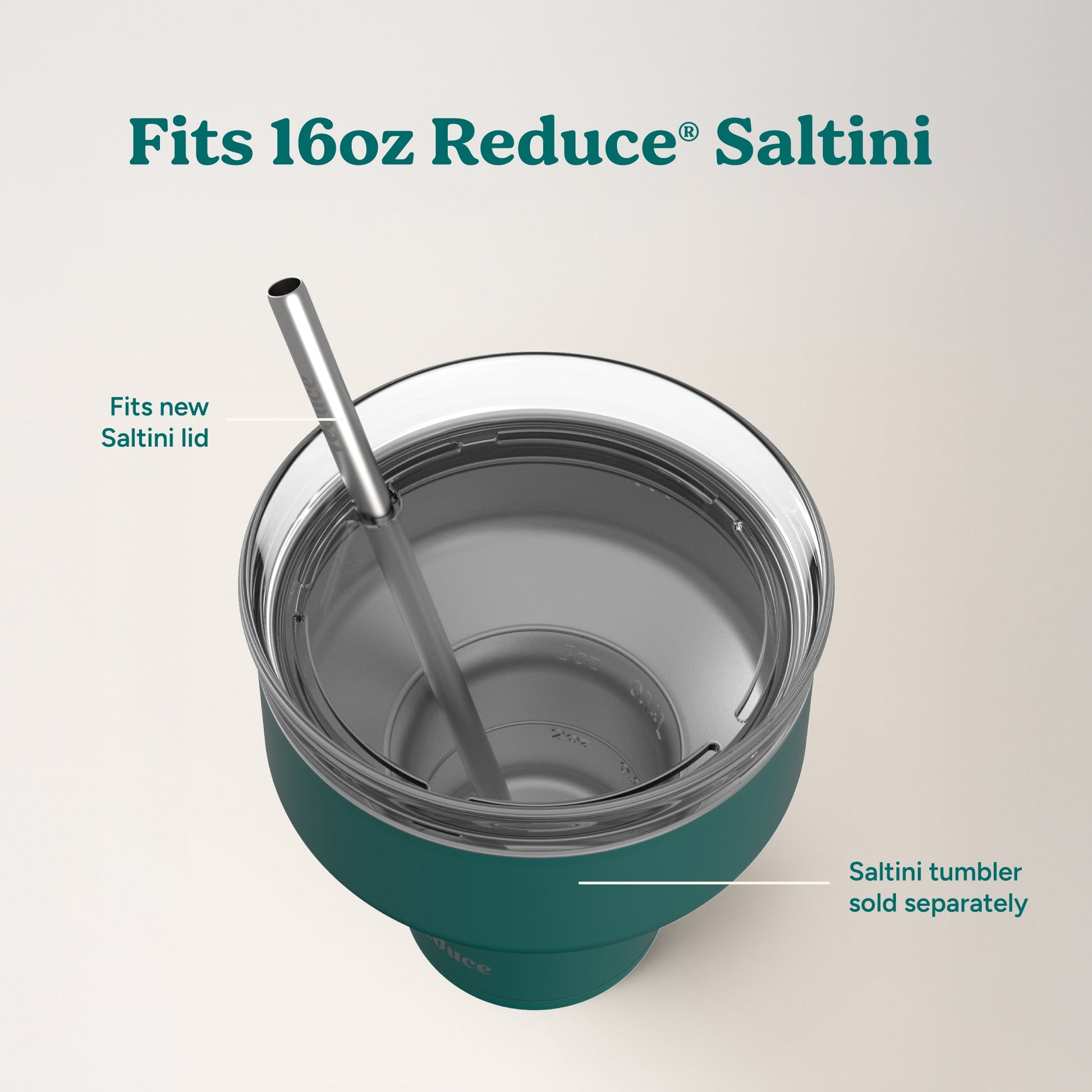 saltini-straw-set-s2 4PK_SaltiniStraws_SS-4.jpg
