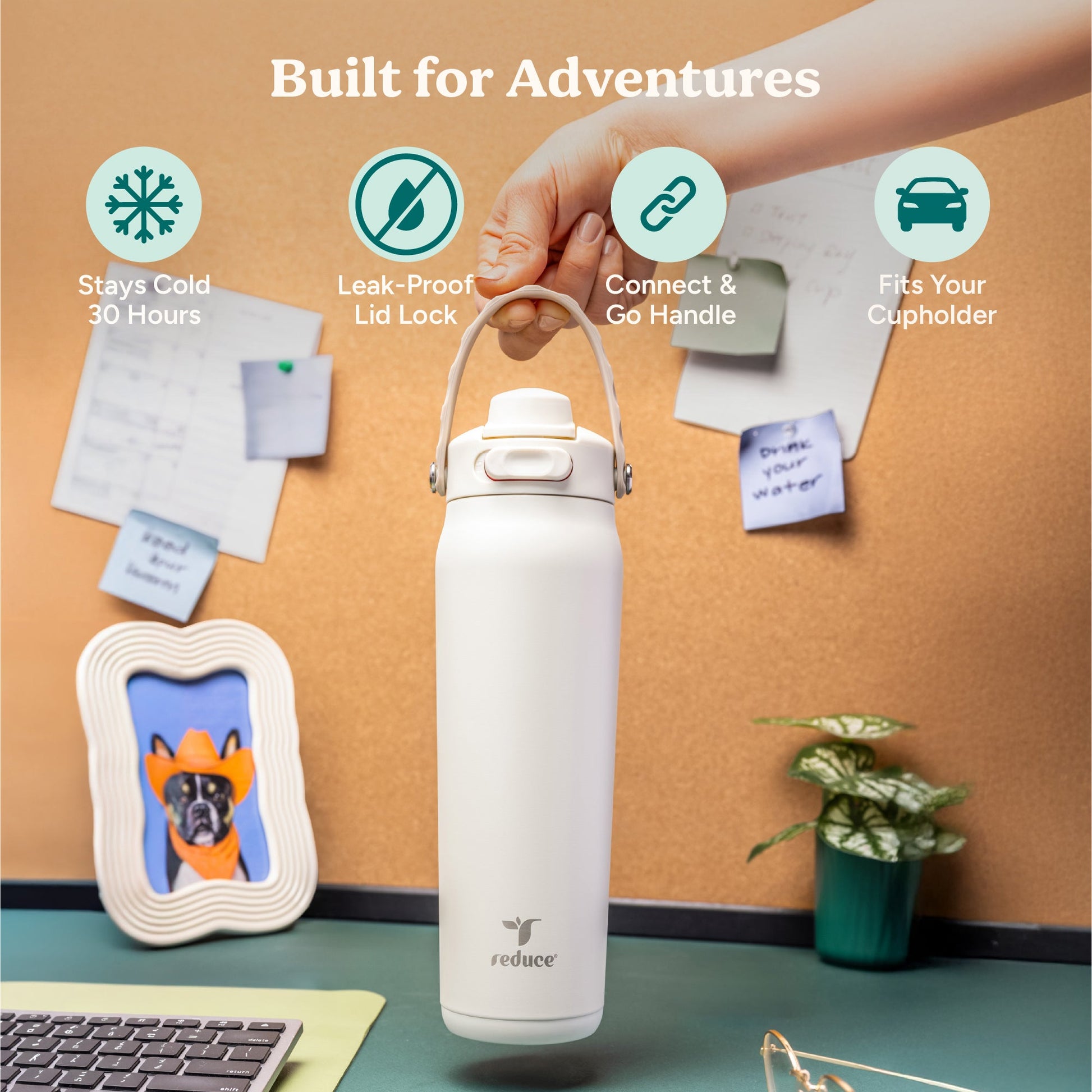 aura-26-oz-r3 Aura_26oz_LilacBud_PDP_Infographic_1-23.jpg