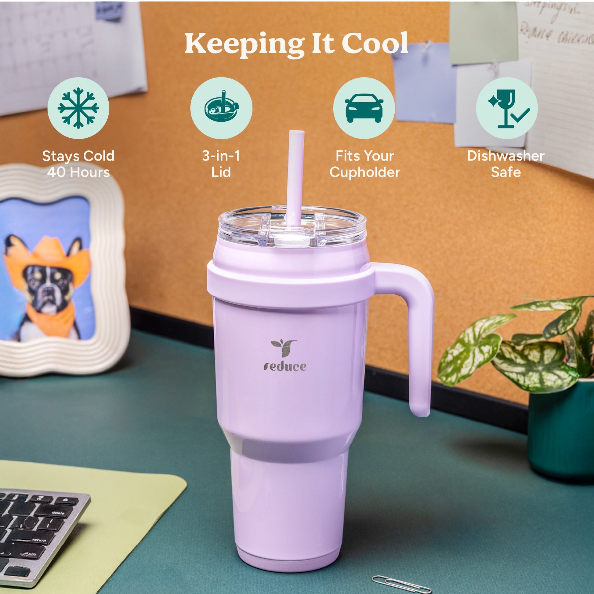 cold1-40-oz-f8 Cold1_40oz_PalmLeaf_Infographic_1.jpg
